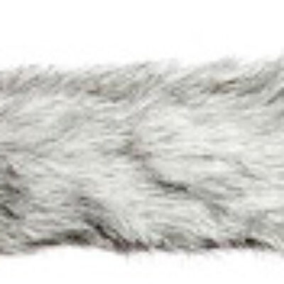 Foto de rode r100053-brise vent dirigible de wombat muerto